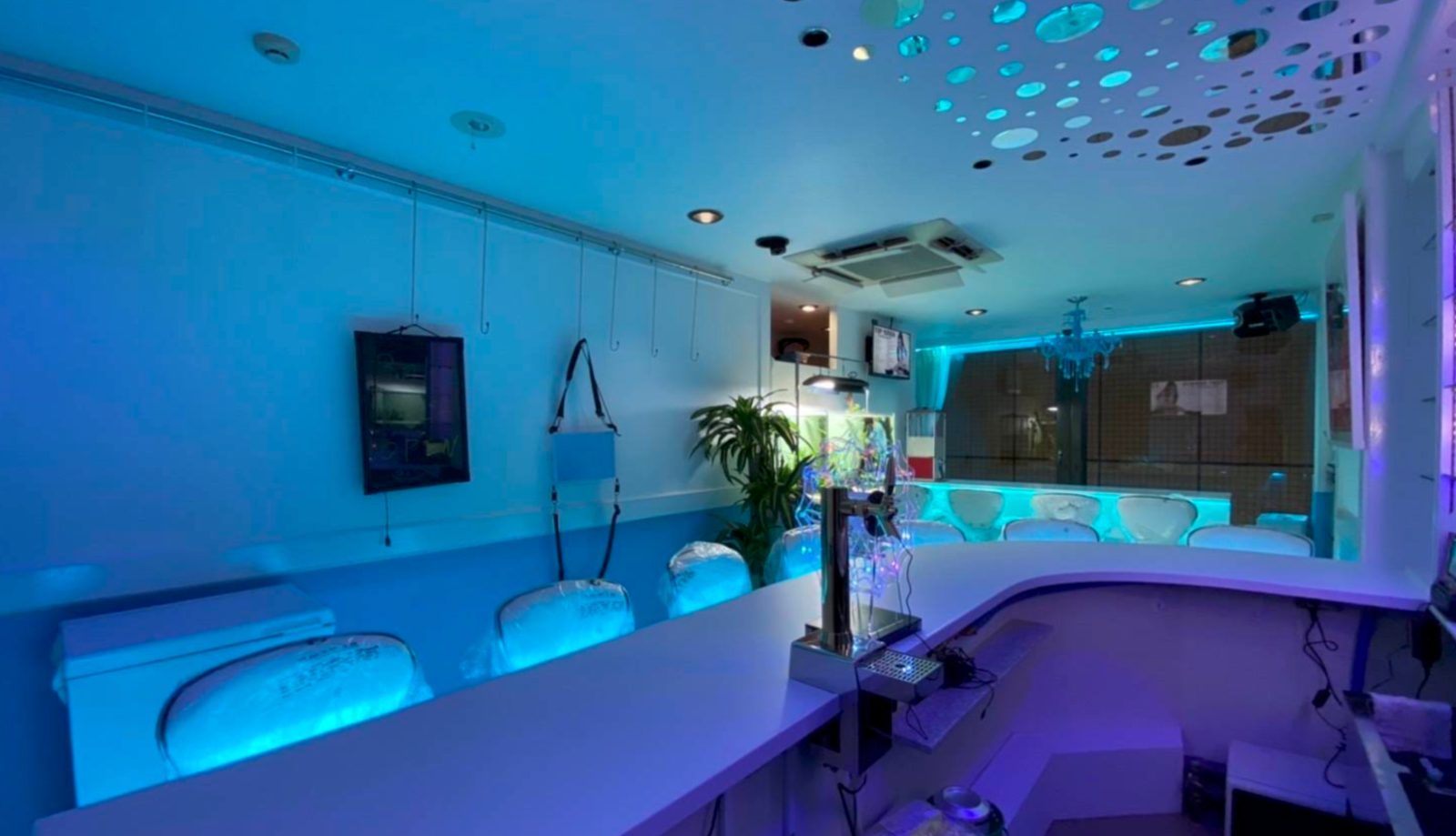Girl's Bar Guppy 店内写真2